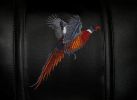 Pheasant-Flushing Logo Panel